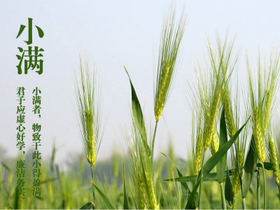 人生小滿，即是圓滿|睿寂行