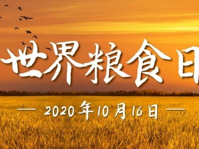 世界糧食日|光盤行動，睿寂行空壓機在行動......